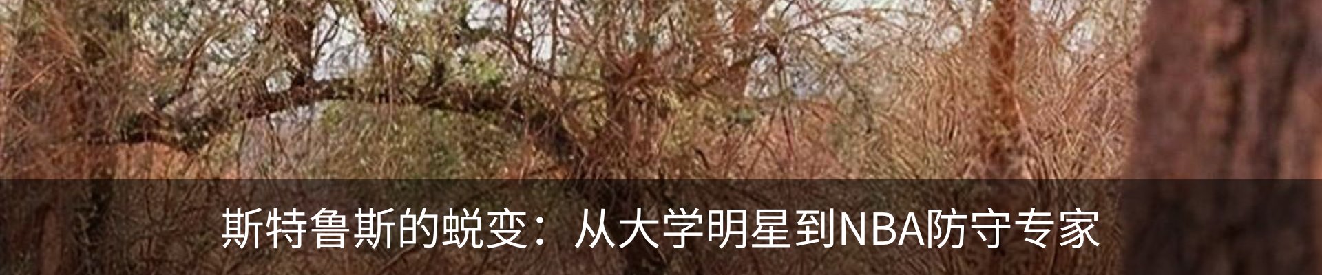 内页banner